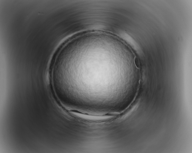 X0000092060924200709262025