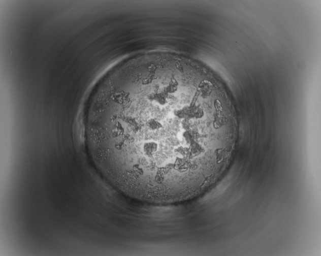 X0000092060925200709262025