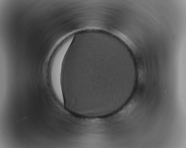 X0000092060926200709262025