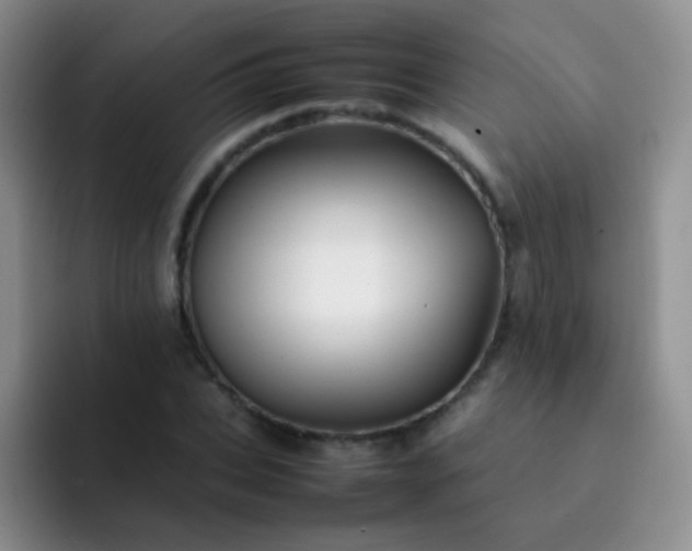 X0000092060927200709262025