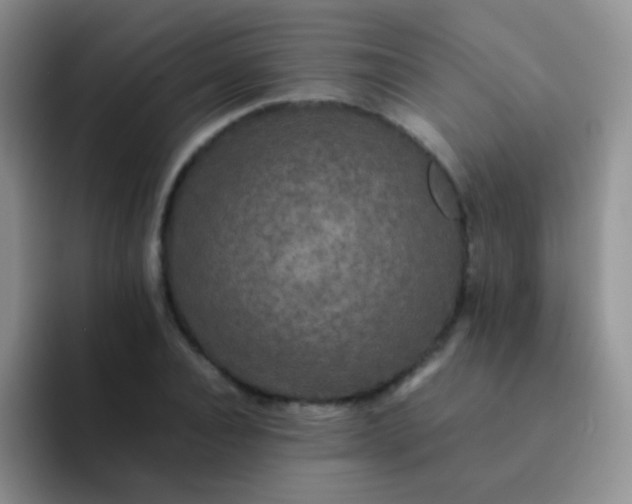 X0000092060928200709262025