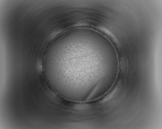 X0000092060929200709262025