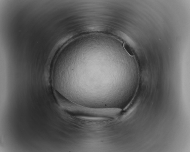 X0000092060930200709262025