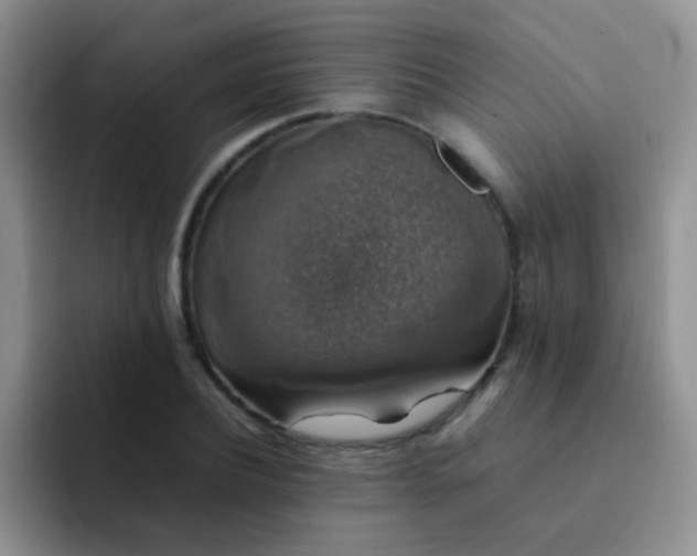 X0000092060932200709262025