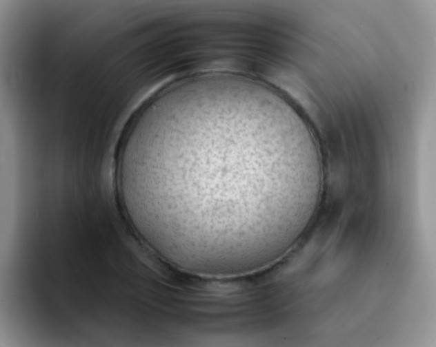 X0000092060933200709262025