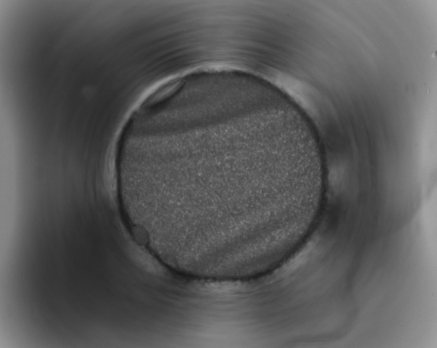 X0000092060934200709262025