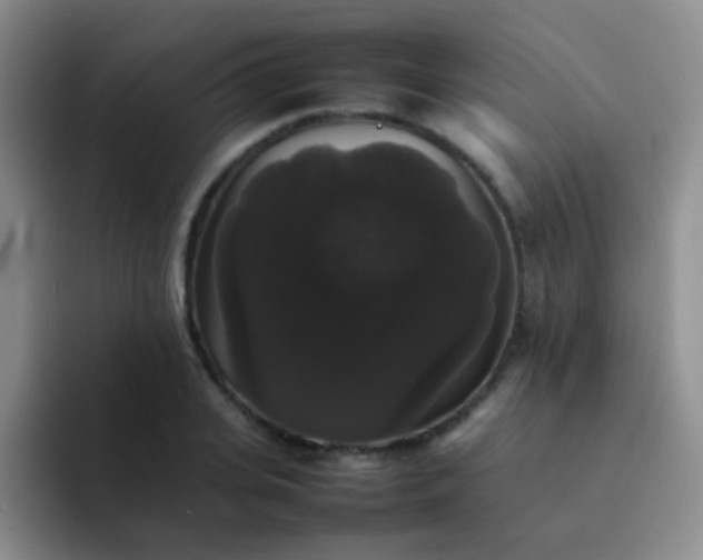 X0000092060935200709262025