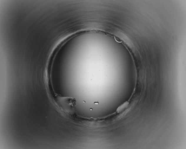 X0000092060936200709262025