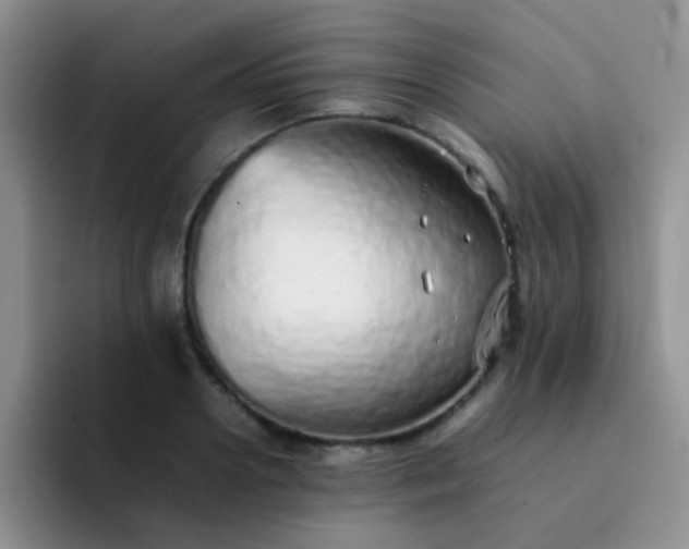 X0000092060938200709262025