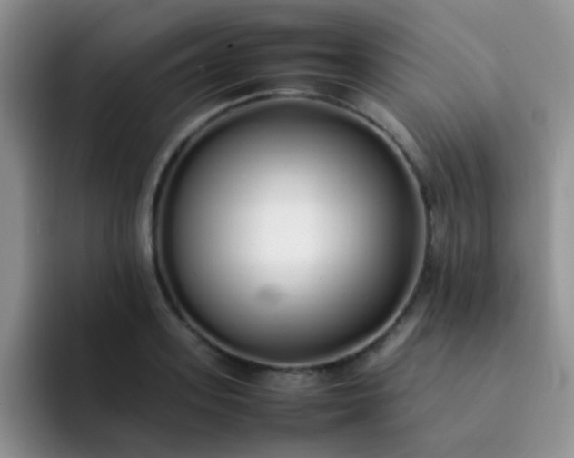 X0000092060939200709262025