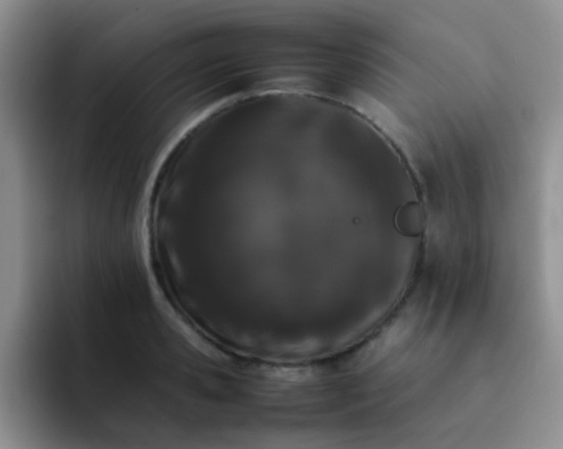 X0000092060941200709262025