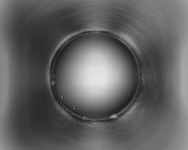 X0000092060942200709262025