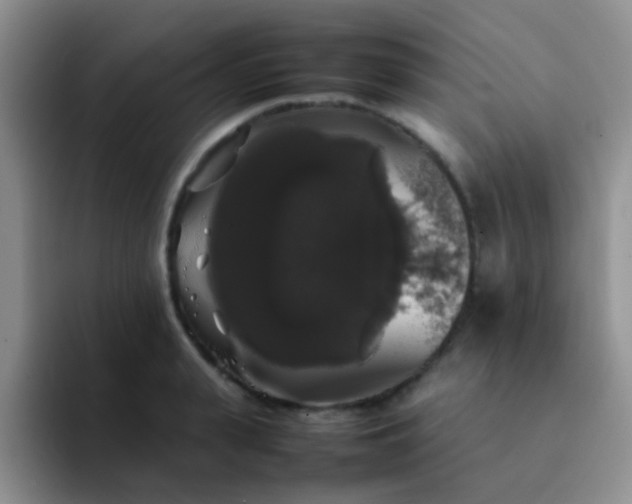 X0000092060943200709262025