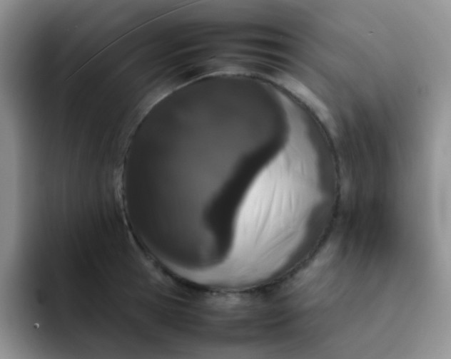 X0000092060945200709262025