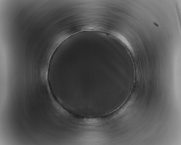 X0000092060946200709262025