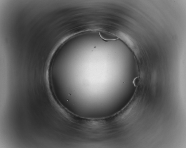 X0000092060947200709262025