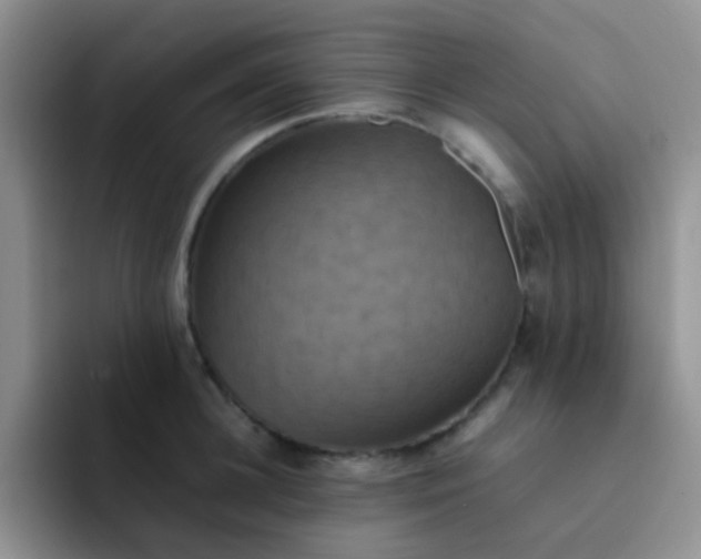 X0000092060948200709262025