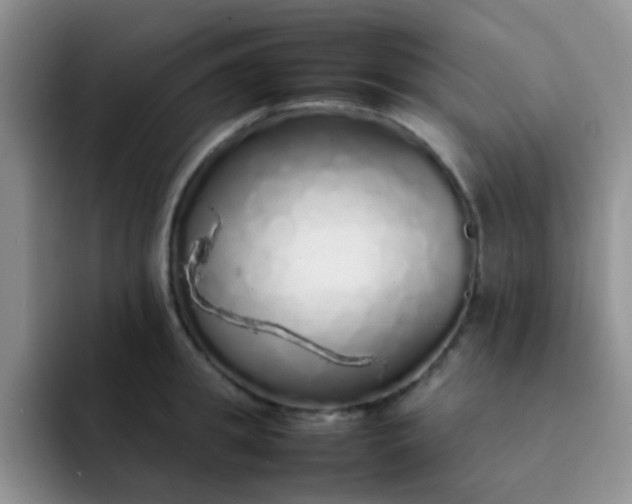 X0000092060949200709262025