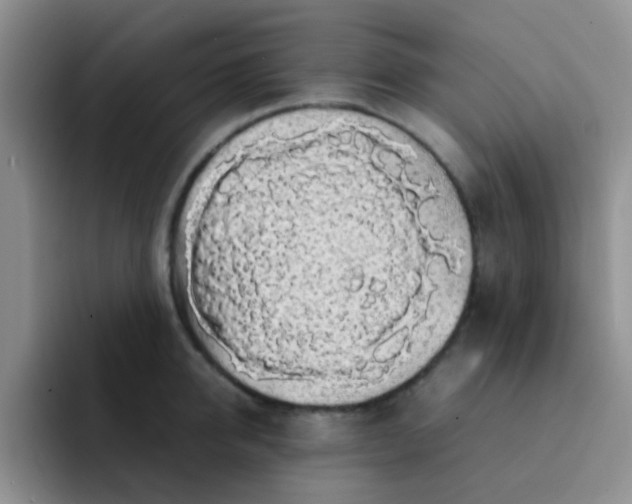 X0000092060950200709262025