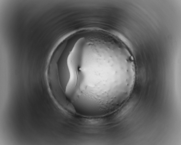 X0000092060951200709262025