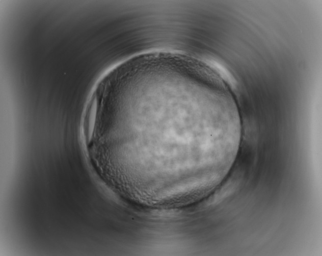 X0000092060952200709262025