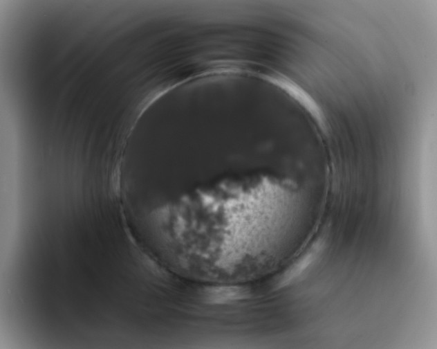 X0000092060953200709262025