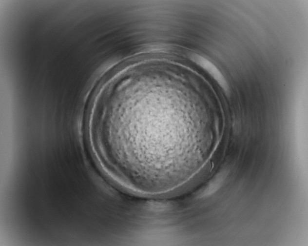 X0000092060954200709262025