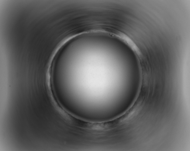 X0000092060955200709262025