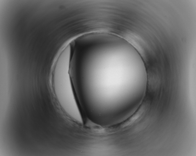 X0000092060956200709262025