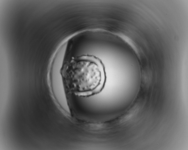 X0000092060959200709262025