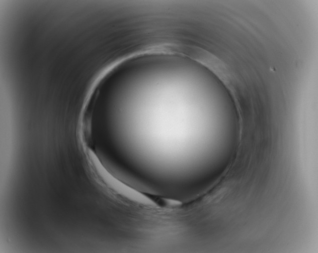 X0000092060960200709262025