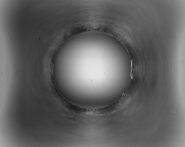 X0000092060961200709262025