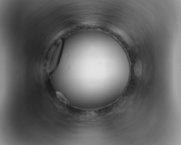 X0000092060968200709262025