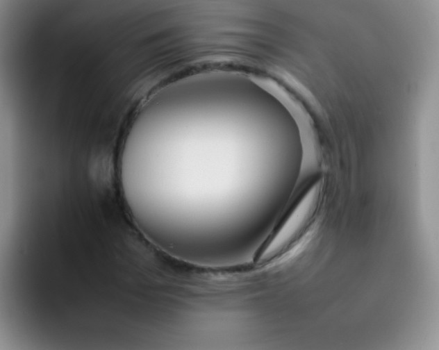 X0000092060969200709262025