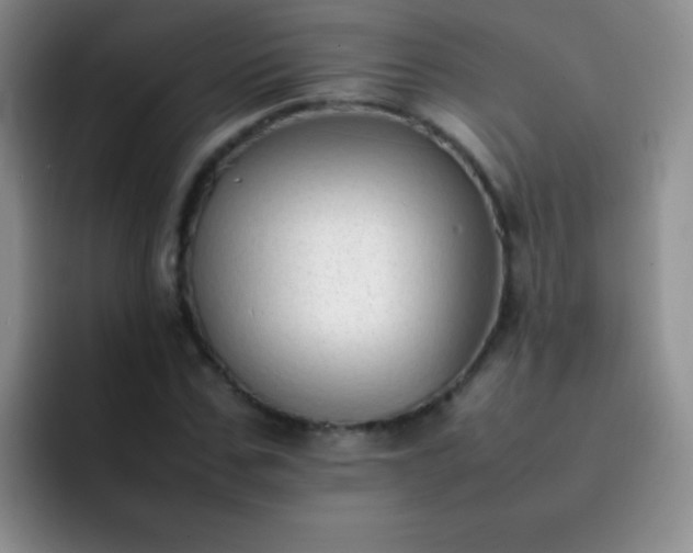 X0000092060971200709262024