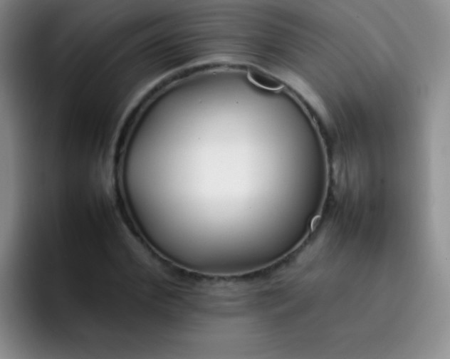 X0000092060972200709262024