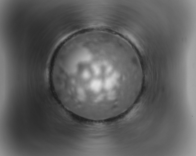 X0000092060975200709262024