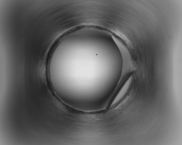 X0000092060976200709262024