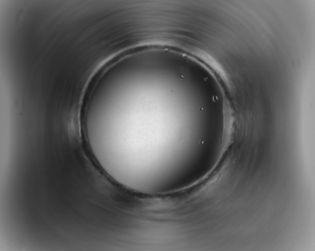 X0000092060980200709262024