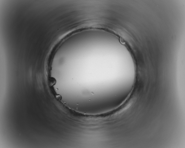 X0000092060981200709262024