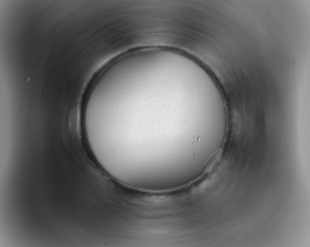 X0000092060982200709262024