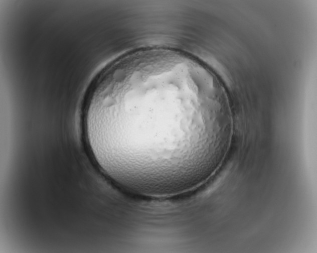 X0000092060983200709262024