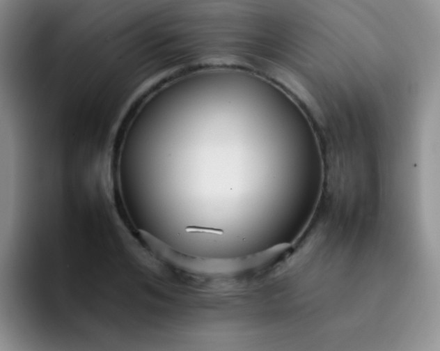 X0000092060984200709262024