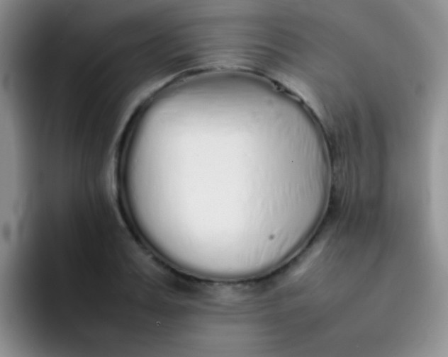 X0000092060987200709262024