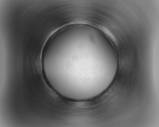 X0000092060988200709262024