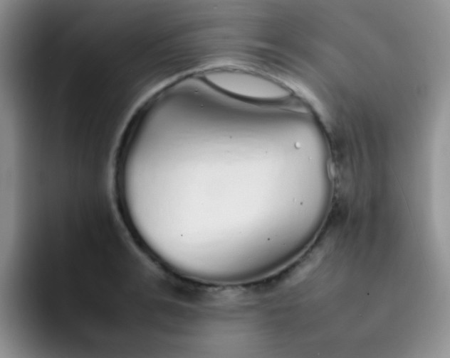 X0000092060991200709262024