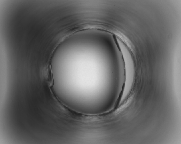 X0000092060993200709262024