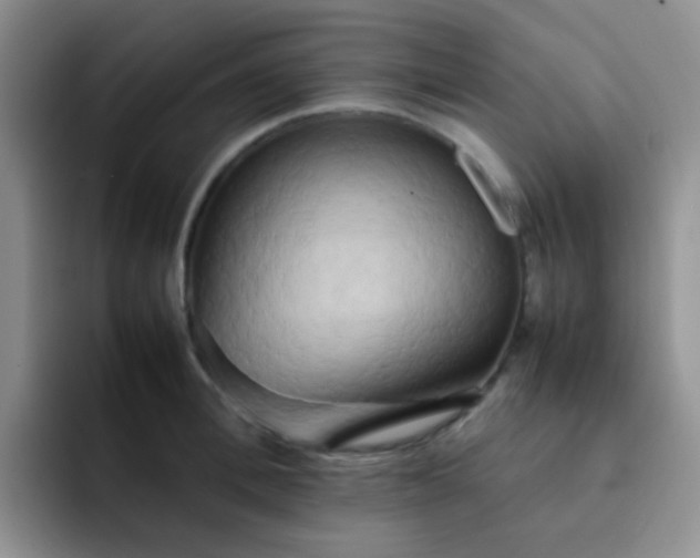 X0000092060996200709262024