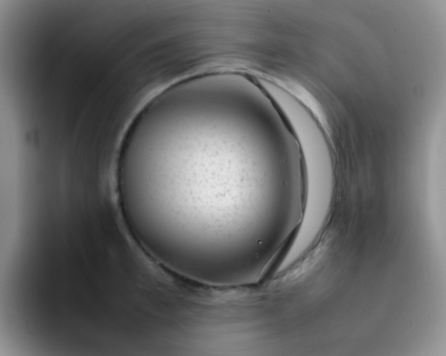 X0000092060997200709262024