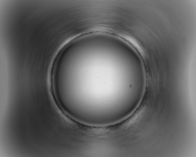 X0000092060999200709262024